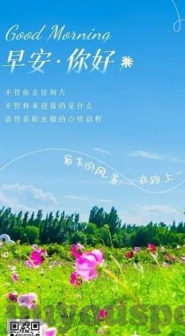 赢比分足球比分即时比分-赢比分,足球世界的即时脉搏与数据交响曲
