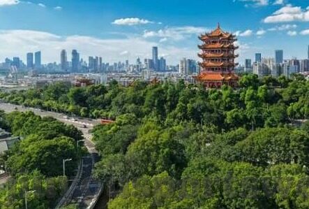 足球比分串图-足球比分串图，一场视觉与数据的双重盛宴，解锁观赛新体验