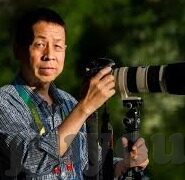 足球比分即时比分老版-重温经典，足球比分即时比分老版——那些年，我们追过的绿茵激情