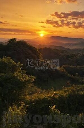 足球比分直播360彩-足球比分直播360彩,赛场风云的实时见证者