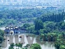 足球竞赛比分500-足球盛宴，当比分邂逅500的梦幻时刻